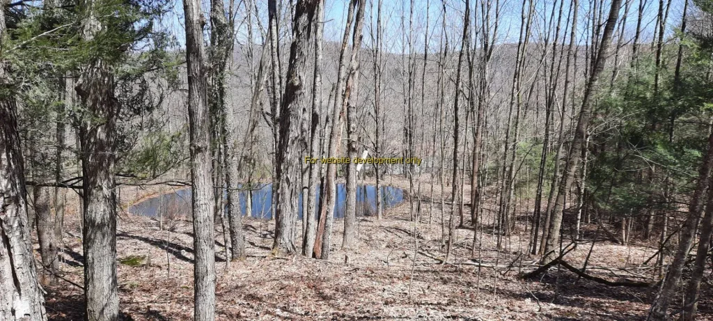 DEMO/TEST Downsville, Town of Colchester, Delaware County, New York, United States