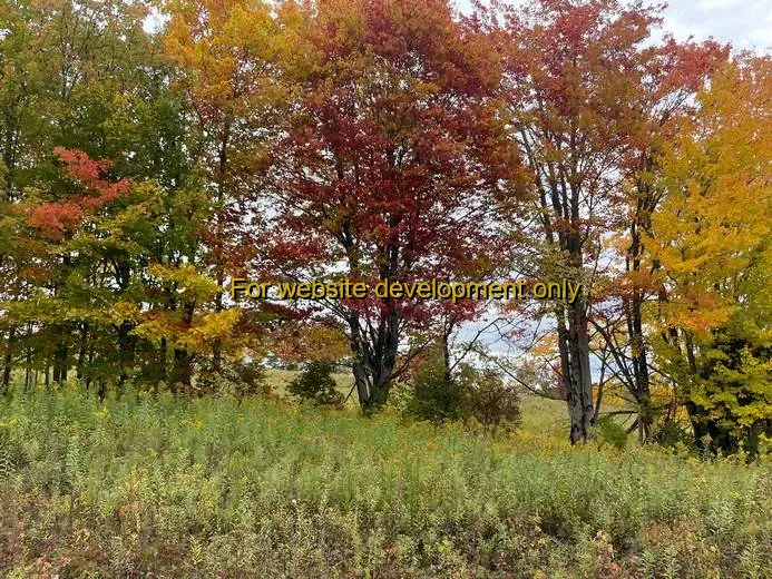 DEMO/TEST Village of Camden, Town of Camden, Oneida County, New York, United States