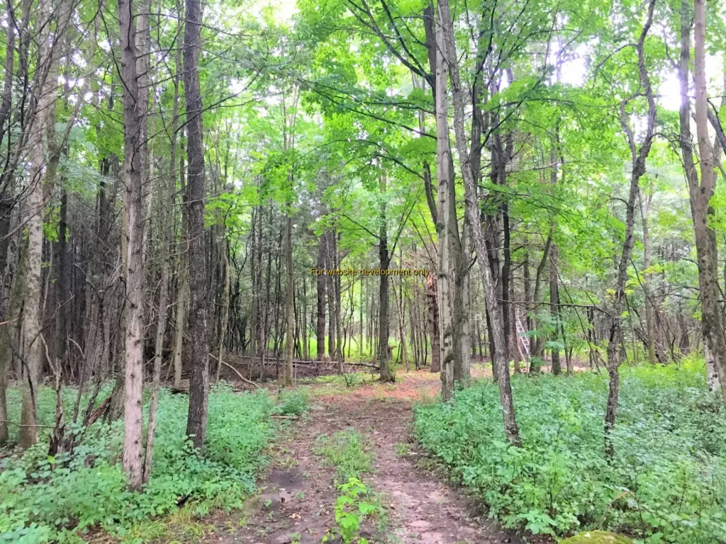 DEMO/TEST Winthrop, Town of Stockholm, Saint Lawrence County, New York, United States