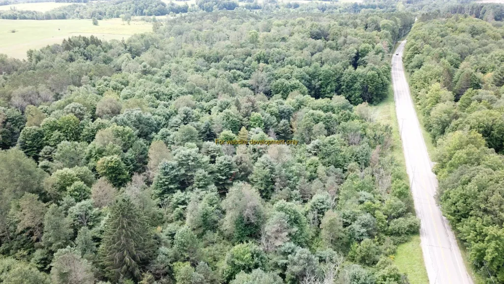 DEMO/TEST Salisbury Center, Town of Salisbury, Herkimer County, New York, United States