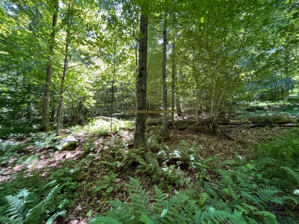 DEMO/TEST Village of Walton, Town of Walton, Delaware County, New York, United States