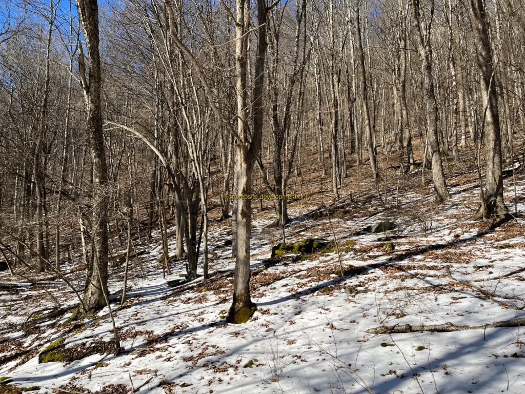 DEMO/TEST Town of Hancock, Delaware County, New York, United States