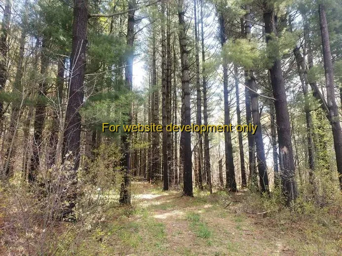 DEMO/TEST Village of Lacona, Lacona, Oswego County, New York, United States