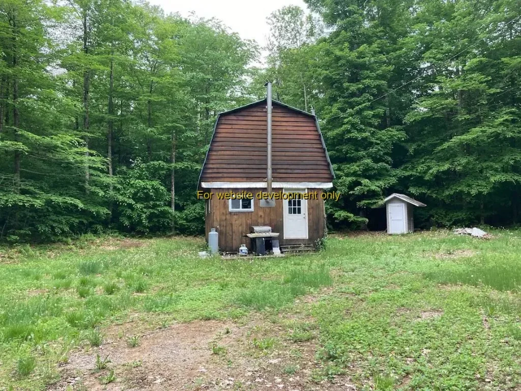 DEMO/TEST Town of Ohio, Herkimer County, New York, 13324, United States