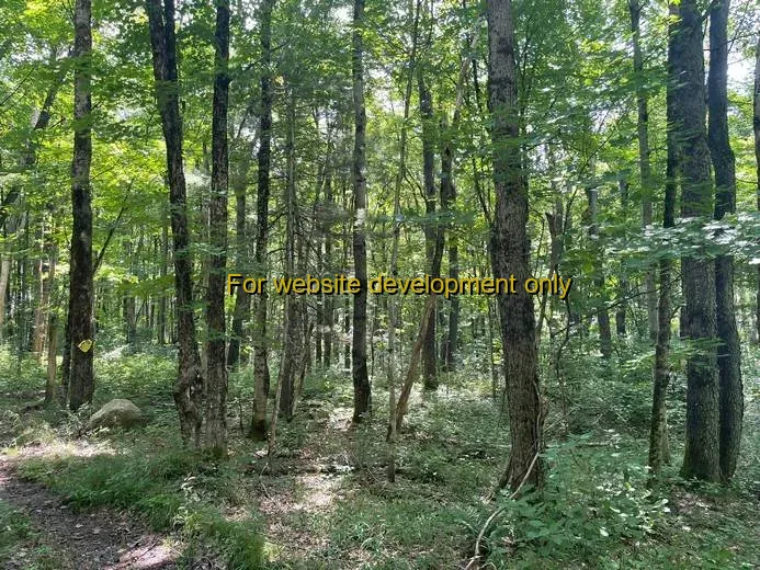 DEMO/TEST Town of Redfield, Oswego County, New York, 13437, United States