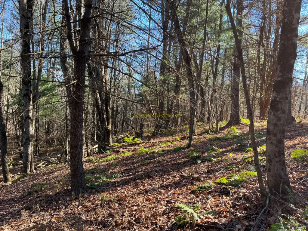 DEMO/TEST Village of Deposit, Town of Sanford, Broome County, New York, United States