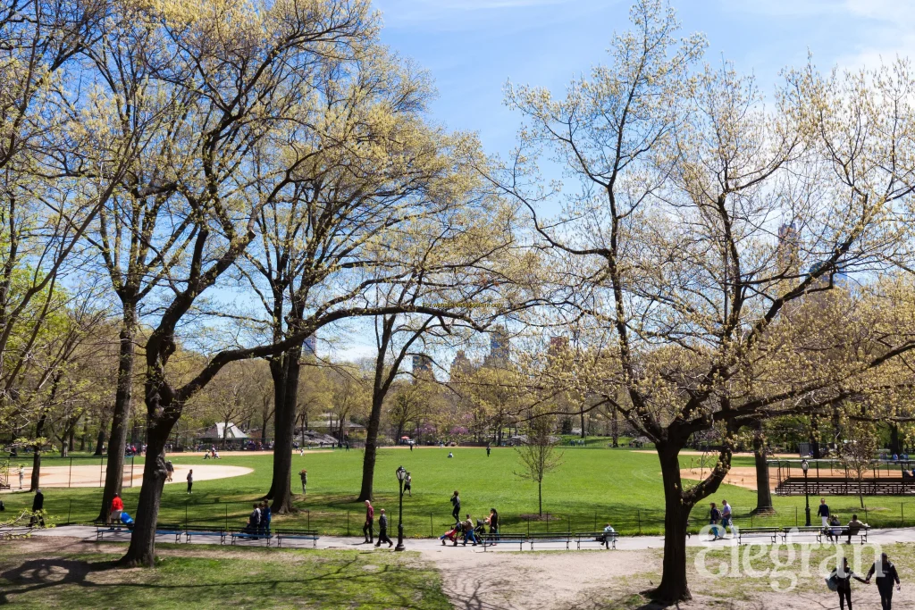 DEMO/TEST City of New York, New York, United States